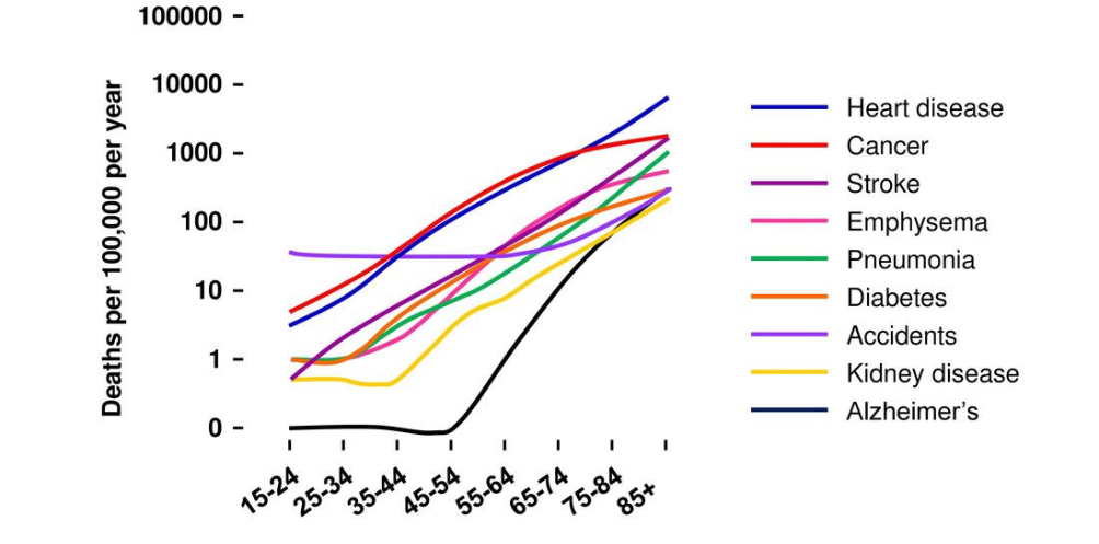 Connection between aging and disease Connection between aging and disease
